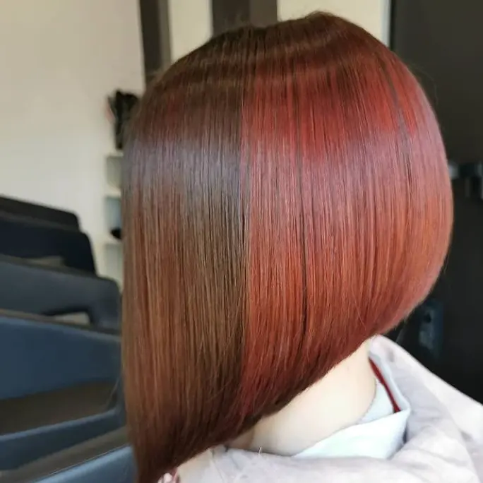 Sleek Dual-Tone Bob