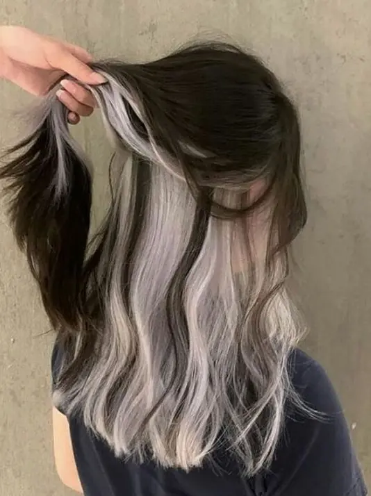 Hidden Silver Highlights Hairstyle