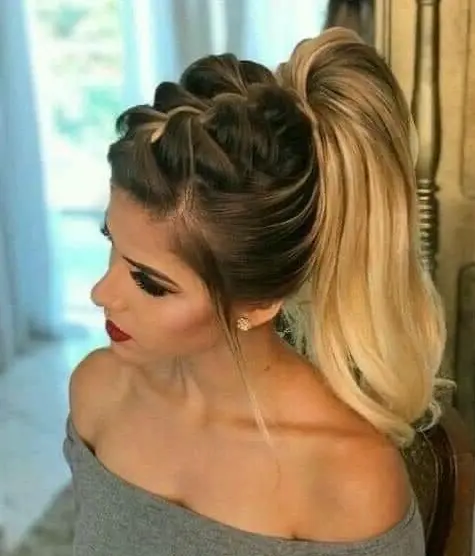 Braided High Ponytail Hairstyle