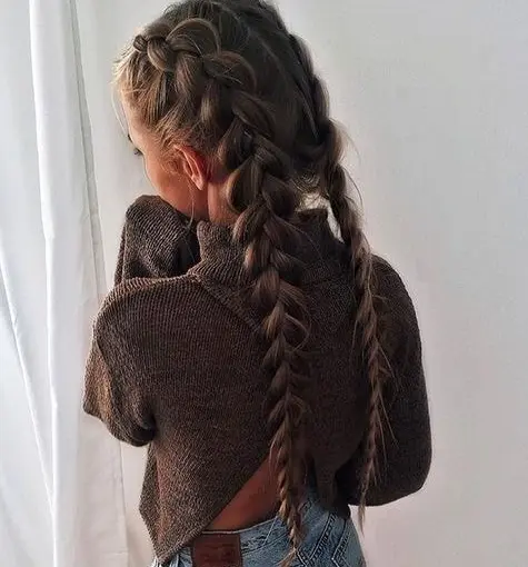 Double Dutch Braids Hairstyle