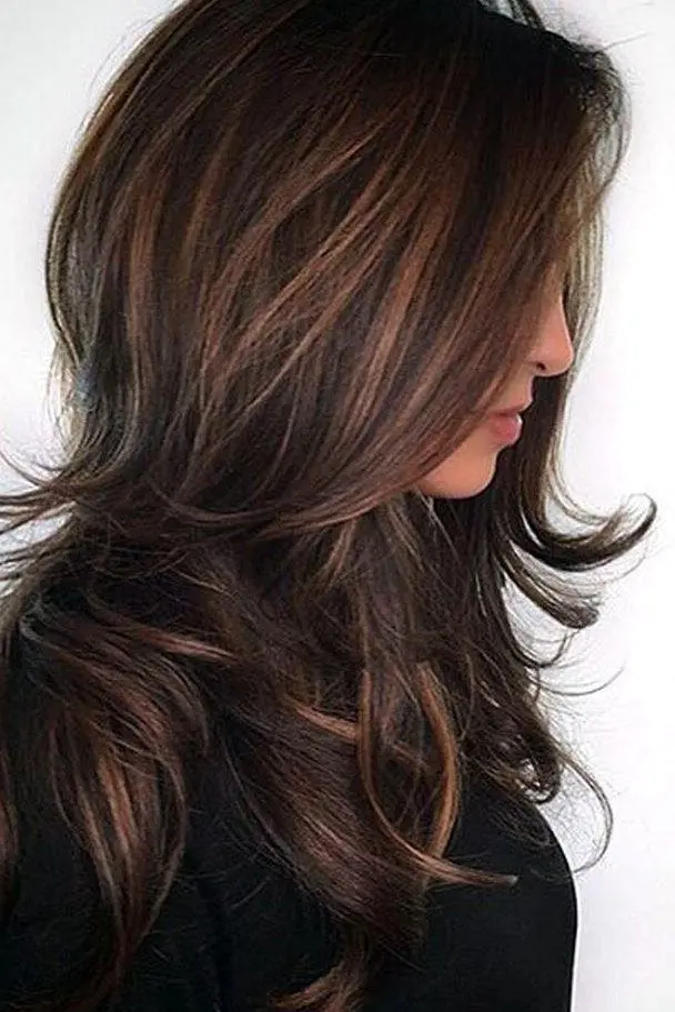 Layered Brown Hair with Highlights Hairstyle