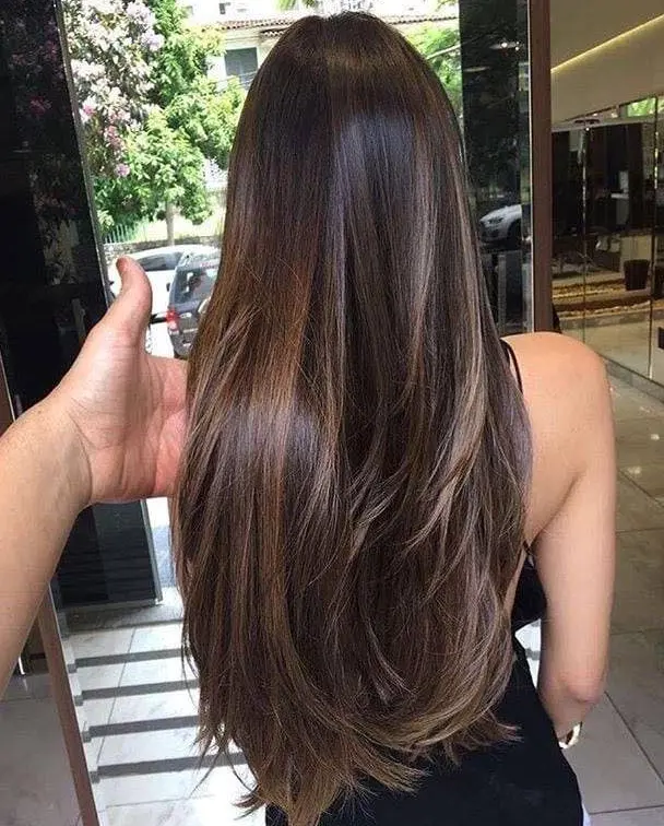 Rich Chocolate Brown with Subtle Highlights