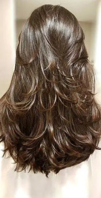 Layered Dark Brown Hair