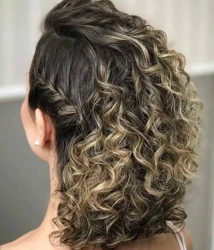 Curly Brown Hair with Blonde Highlights Hairstyle