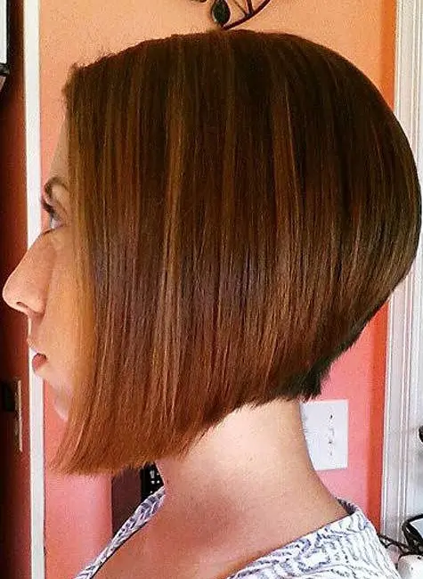 Angled Brown Bob with Warm Tones Hairstyle