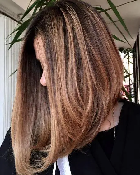 Layered Brown Hair with Honey Blonde Highlights Hairstyle