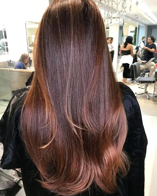 Sleek Brown Hair with Subtle Highlights Hairstyle