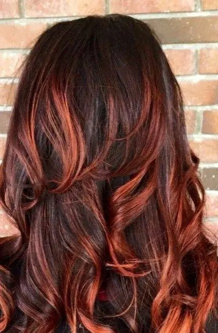 Dark Brown Hair with Auburn Highlights Hairstyle