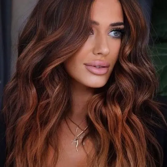 Chocolate Brown Hair with Copper Highlights Hairstyle