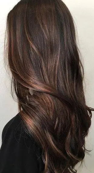 Rich Chocolate Brown with Caramel Undertones Hairstyle