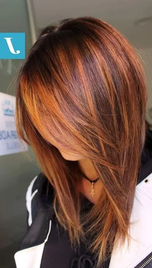 Warm Caramel Highlights on Layered Hair Hairstyle