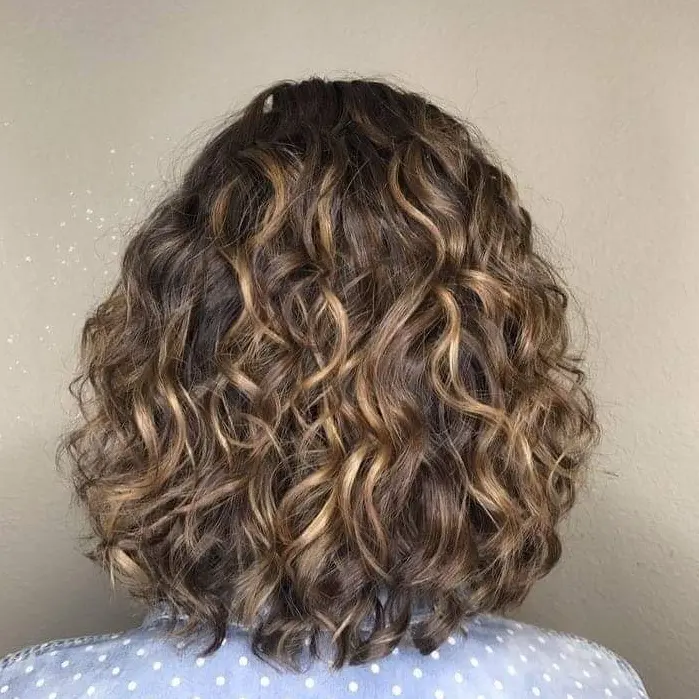 Curly Hair with Subtle Highlights Hairstyle