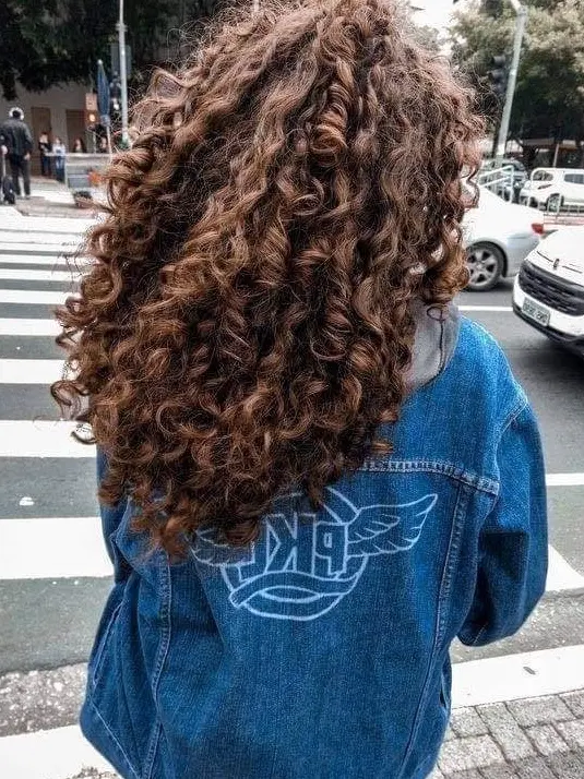 Lush Long Curly Hair Hairstyle