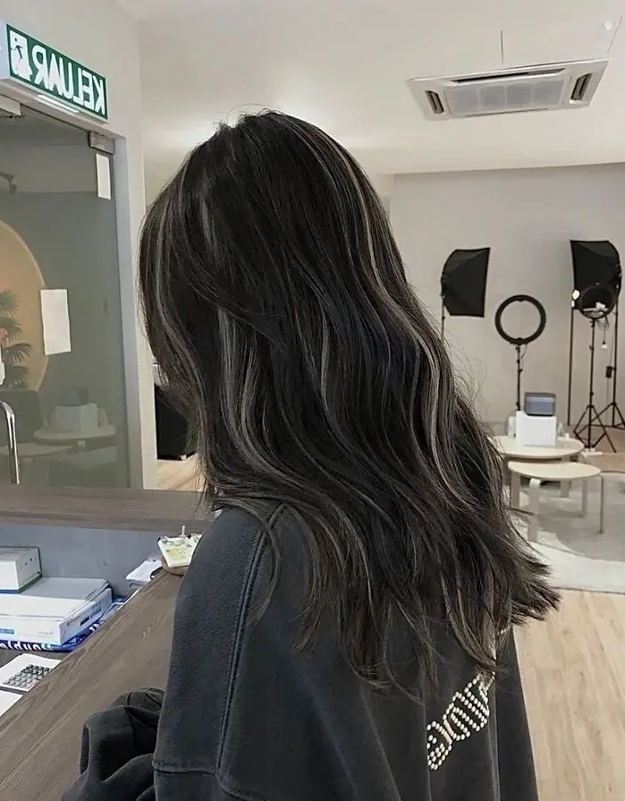 Subtle Highlights for Dark Hair Hairstyle