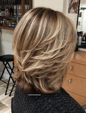 Layered Hair with Blonde Highlights Hairstyle