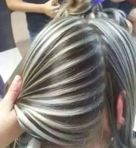 Silver Highlights on Dark Hair Hairstyle