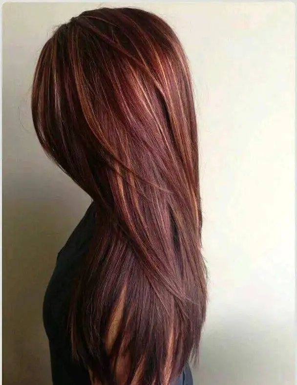 Auburn Layers with Highlights Hairstyle