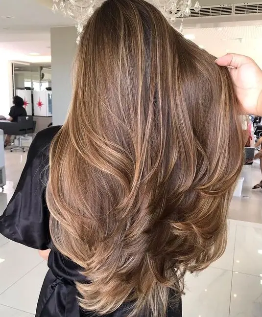 Voluminous Brown Layers Hairstyle