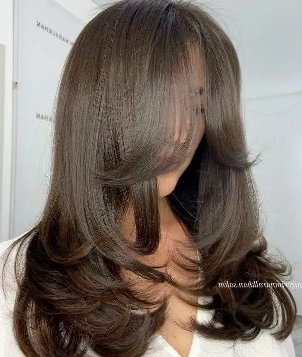 Elegant Brown Layers Hairstyle