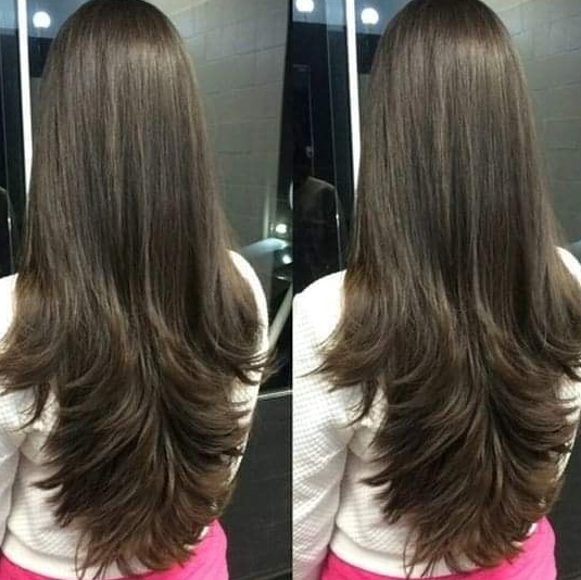 Classic Layered Brown Hair