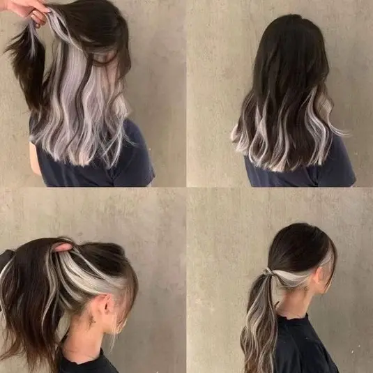 Hidden Highlights with Ponytail Hairstyle