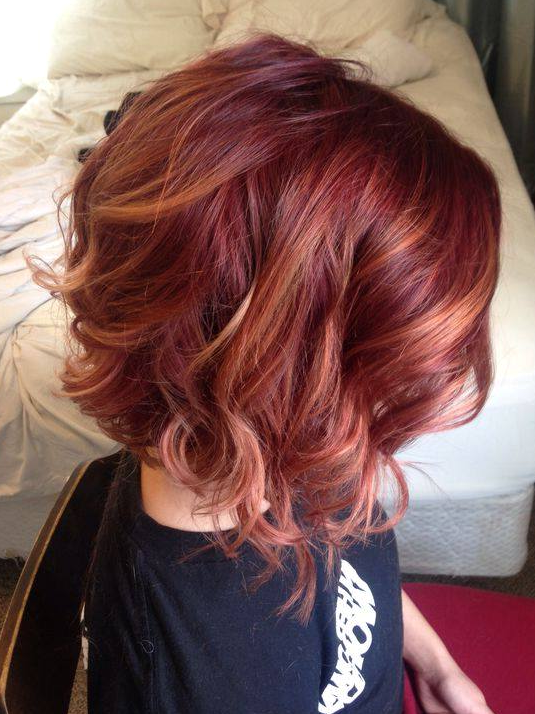 Rich Burgundy Curly Bob hairstyle