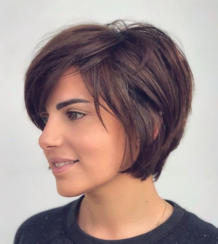 Textured Pixie Bob