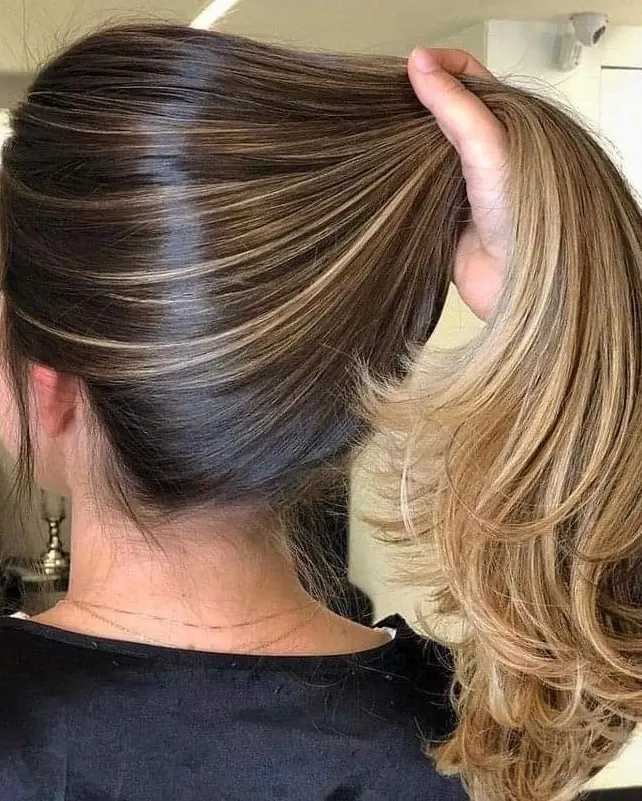 Soft Highlights with Ponytail Hairstyle