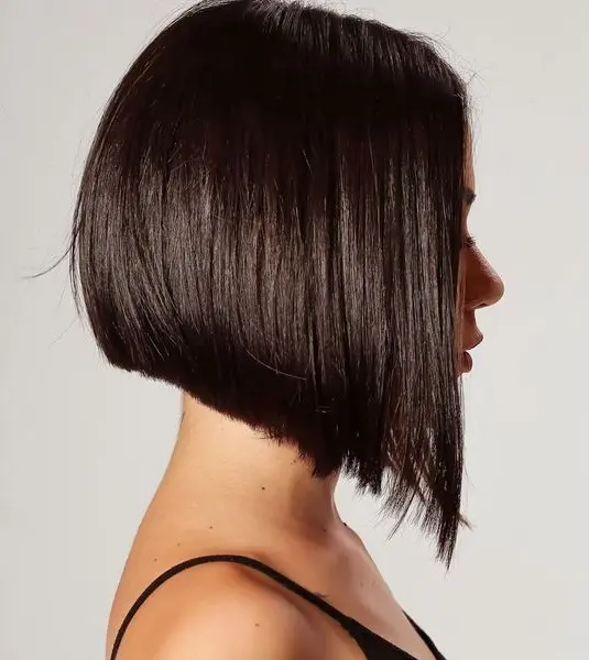 Sleek Black Bob Hairstyle