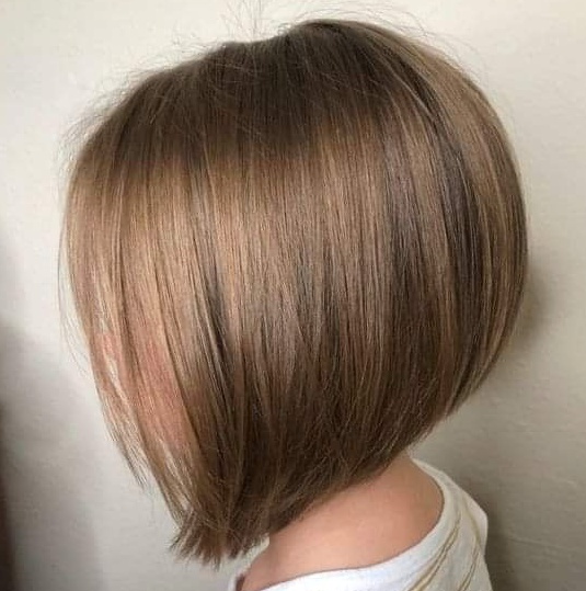 Soft Layered Bob Hairstyle