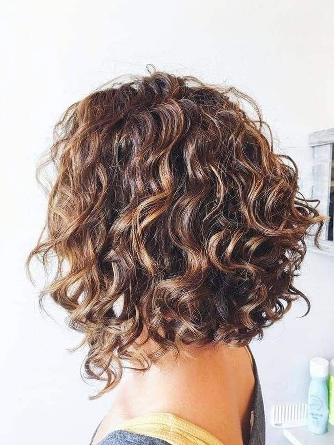 Curly Bob with Highlights Hairstyle