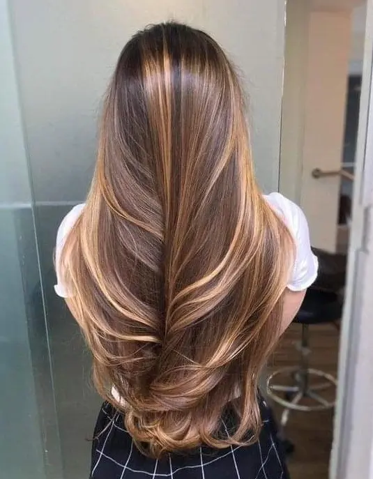 Long Brown Hair with Caramel Highlights Hairstyle