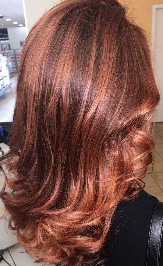 Copper Hair with Subtle Highlights Hairstyle