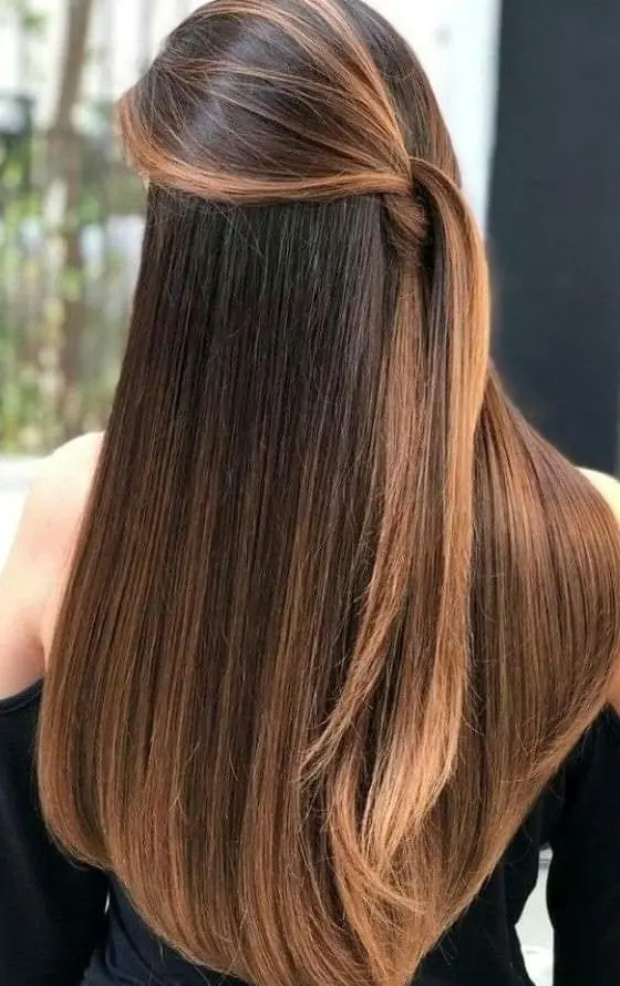 Golden Brown Highlights on Dark Hair Hairstyle