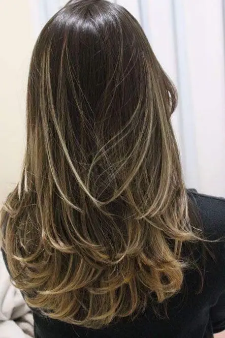 Golden Highlights on Layered Hair Hairstyle