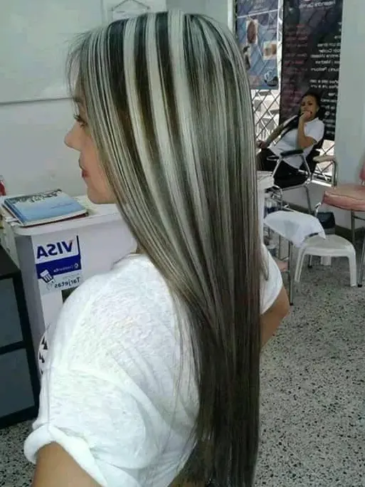 Silver and Blonde Highlights on Long Straight Hair Hairstyle