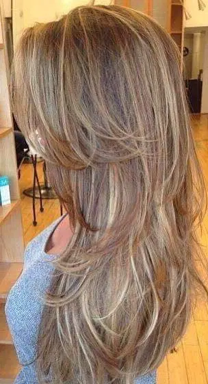 Light Brown Highlights on Layered Hair Hairstyle