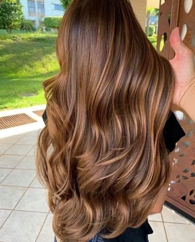 Warm Brown Highlights on Wavy Hair Hairstyle