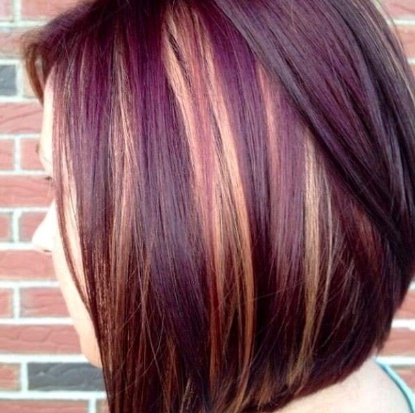 Rich Plum Highlights Hairstyle